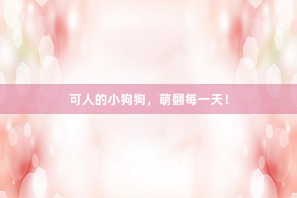 可人的小狗狗,萌翻每一天!
