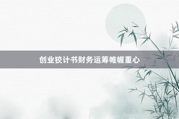 创业狡计书财务运筹帷幄重心