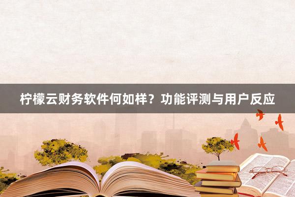 柠檬云财务软件何如样？功能评测与用户反应